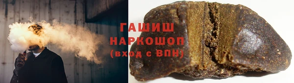 шишки Губаха