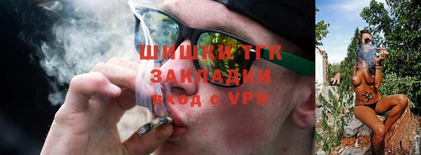 шишки Губаха