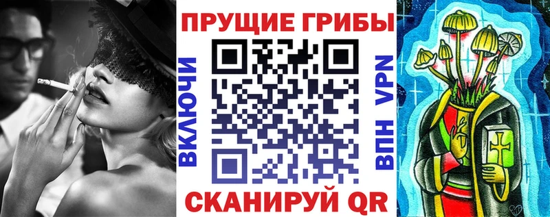 кракен как зайти  Каменск-Шахтинский  Псилоцибиновые грибы MAGIC MUSHROOMS 