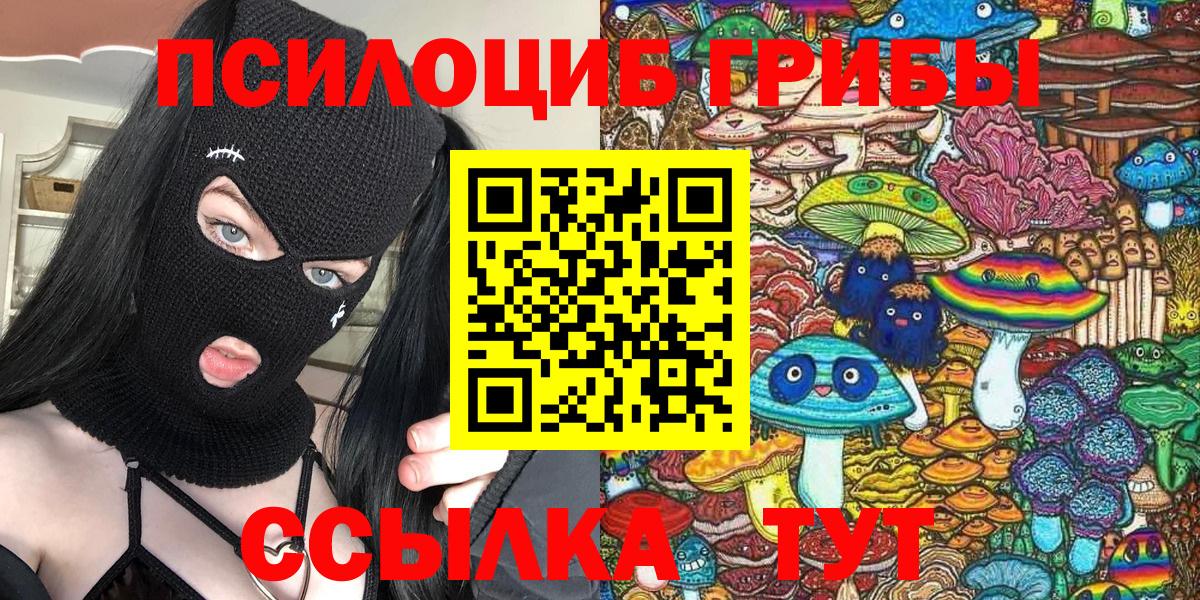 Галлюциногенные грибы прущие грибы Каменск-Шахтинский