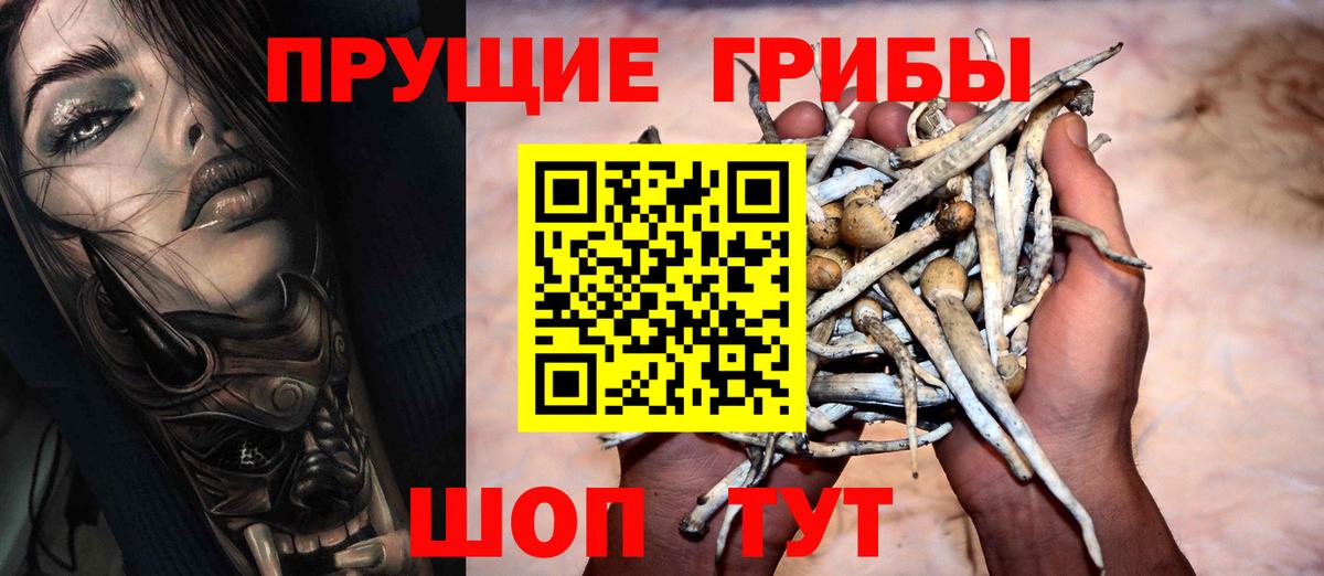 Галлюциногенные грибы Cubensis  Вход с VPN  Каменск-Шахтинский 